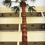 B&B Banu Luxury Marmaris